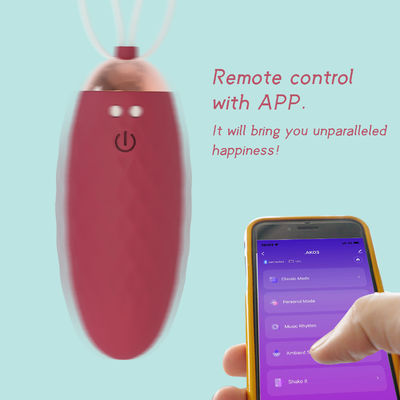 Multiple Modes Wireless Remote Control G Spot Vibrating Eggs With App