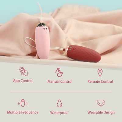 Mini Love Smart App Controller Vibrating Egg Wireless Remote Control