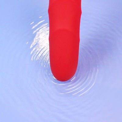 Waterproof Rechargeable Adult Sex Vibrator , G Spot Vibrator For Women